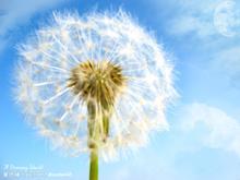 湿疹的患病因素