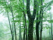 ʪ��Ļ������ؼ�Σ��