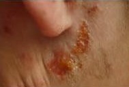 �Ǽ���ʪ���ͼƬ