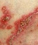 ţƤѢ��ô�������