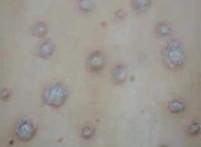 �����ţƤѢ���Ŵ���