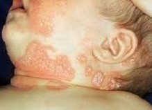 �沿ţƤѢ�Ļ���