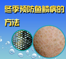 ����Ԥ�����۲��ķ���