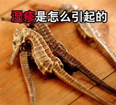 ʪ������ô�����