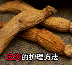 Ƥ�׵Ļ�������