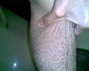 �������۲�������