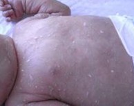 �Ŵ������۲���Σ��