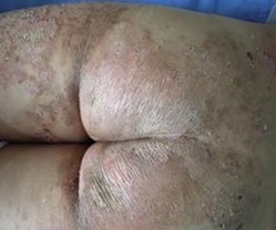 ���۲���Σ���ж���