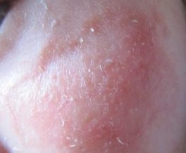 ʪ�����ϼ�����