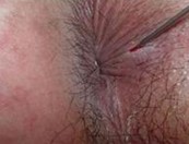 ����ʪ���Σ����