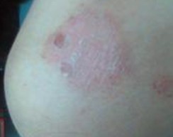 ţƤѢ���ߺ�ʱ�������