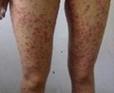 ������Ƽ���ţƤѢ