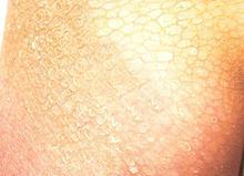 ���������۲���������