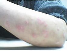 ����������ţƤѢ��