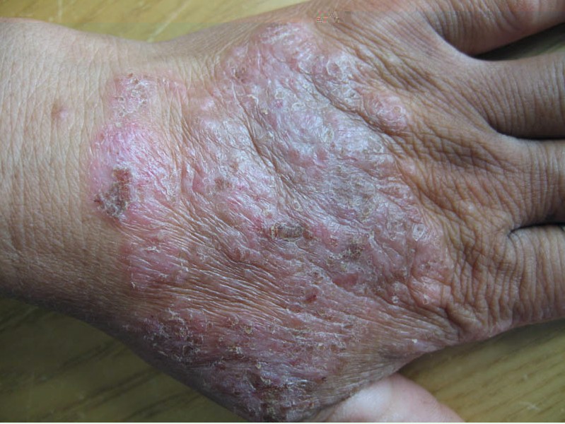 ����ʪ��